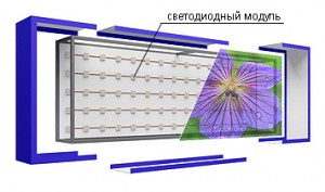 Световые короба (лайтбоксы) со светодиодной подсветкой