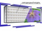 Световые короба (лайтбоксы) со светодиодной подсветкой