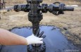 Нефтедобывающие компании не задумываются о последствиях разливов нефти и других техногенных катастроф