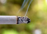 Курильщики значительно больше подвержены онкологическим заболеваниям  дыхательных путей